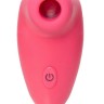 Розовый вакуумный стимулятор клитора PPP CHUPA-CHUPA ZENGI ROTOR