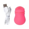 Розовый стимулятор клитора PPP CURU-CURU BRUSH ROTER