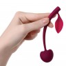 Бордовая вагинальная вишенка WILD CHERRY - 13 см.