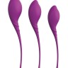 Набор из 3 фиолетовых вагинальных шариков PLEASURE BALLS & EGGS KEGEL EXERCISE SET