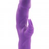 Фиолетовый вибратор с клиторальным стимулятором MATES FANTASY RECHARGE VIBRATOR - 17 см.