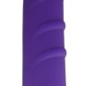 Фиолетовый вибратор SPARKLE SUCCUBI VIBRATING DONG - 14,5 см.