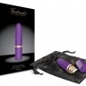 Фиолетовый перезаряжаемый вибростимулятор Lipstick Vibe