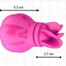 Розовый клиторальный стимулятор Caress с 5 заменяемыми насадками