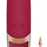 Малиновый вибромассажер DYSIS BRIGHT - 12,6 см.