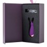 Фиолетовый стимулятор эрогенных зон Eromantica BUNNY - 12,5 см.