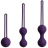 Набор из 3 фиолетовых вагинальных шариков Kegel Training Set