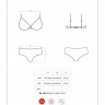 Пикантный комплект белья Leatheria