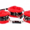 Набор с красным мехом BDSM Light