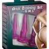 Набор из 3 анальных пробок Anal Training Set