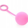 Комплект вагинальных шариков THE ALEXANDRA BEN WA BALLS