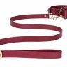 Бордовый ошейник с поводком Collar With Leash