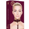 Бордовый ошейник с поводком Collar With Leash