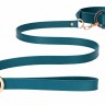 Зеленый ошейник с поводком Collar With Leash