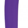Фиолетовый вибратор Rechargeable IJOY Silicone Dildo - 16,5 см.