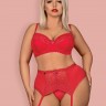 Пикантный кружевной комплект белья Jolierose