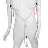 Зажимы на соски и половые губы с розовыми кисточками Nipple Clit Tassel Clamp With Chain