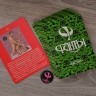 Эротическая игра "Фанты - Абсент"