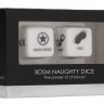Игральные кубики BDSM Naughty Dice