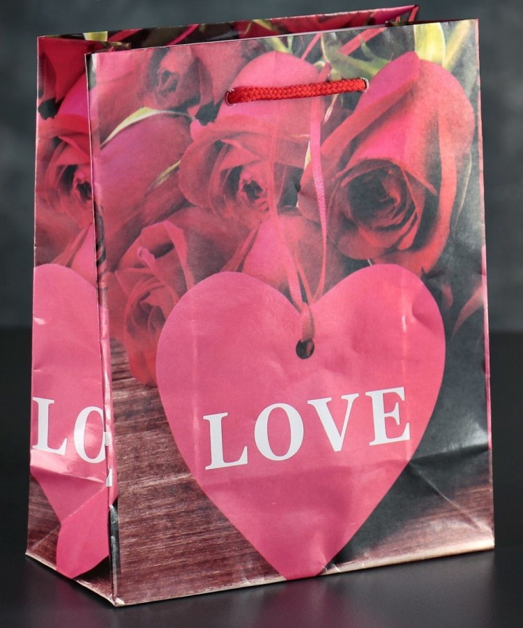 Подарочный пакет Love с розочками и сердечками - 23 х 18 см.