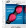 Розовые вагинальные шарики Joyballs Secret